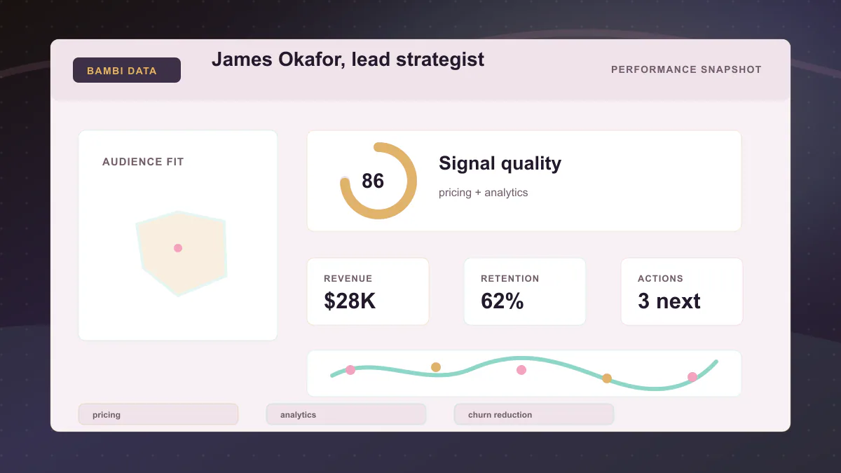 James Okafor, lead strategist - Performance snapshot Generated WebP visual for James Okafor, lead strategist showing performance snapshot context for pricing, analytics, churn reduction.